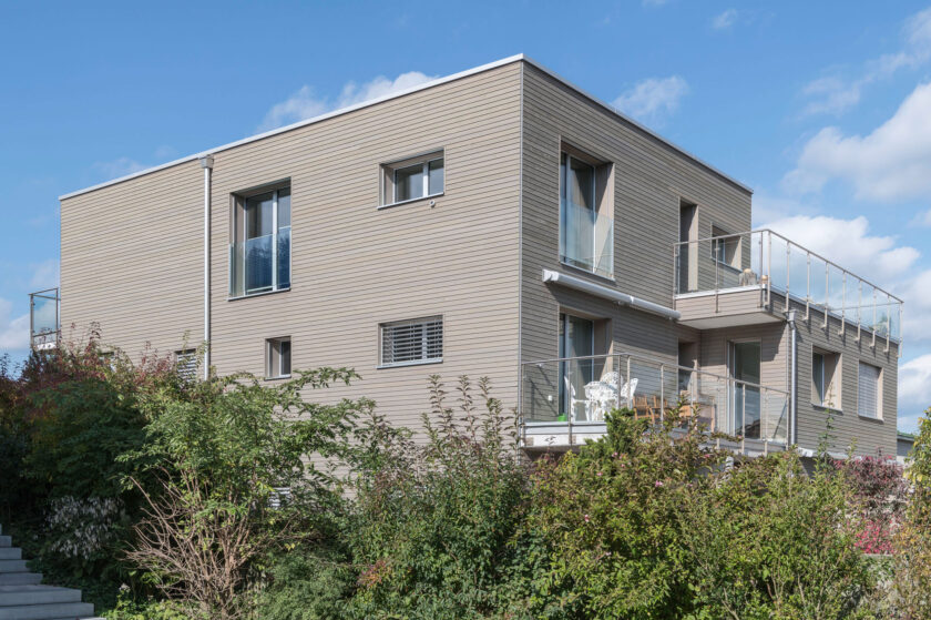 Neubau Einfamililenhaus Horgen 8