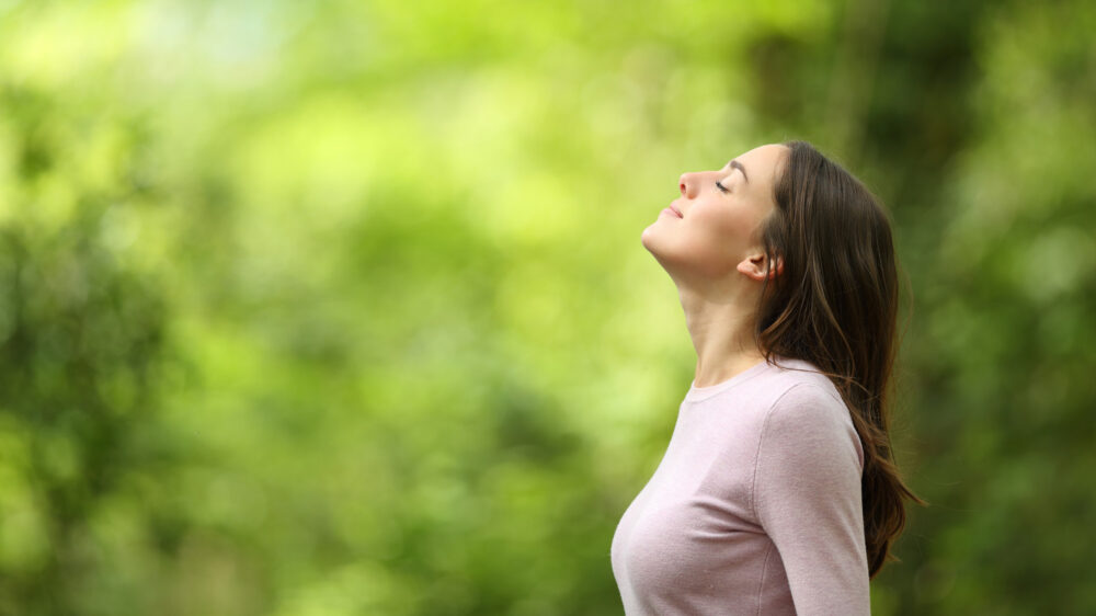 Massivholzhaus Gesund Alergiker