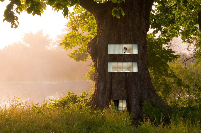 Fokus Massivholzhaus Bauen